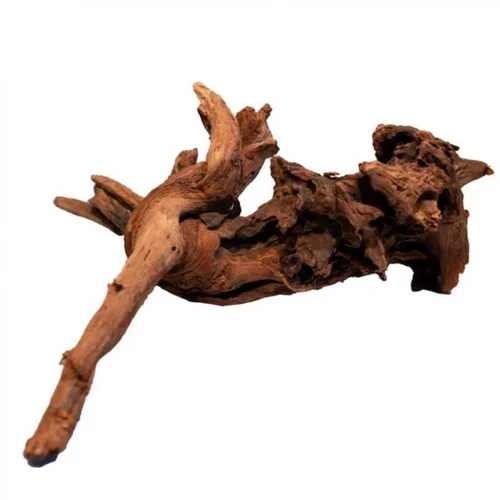 Sélection maison:Racine de mangrove naturelle pour aquarium SUPERFISH - 20 cm
