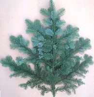Jardin et nature:Branche de sapin Nobilis bleu pour décoration de Noël - 80/100 cm