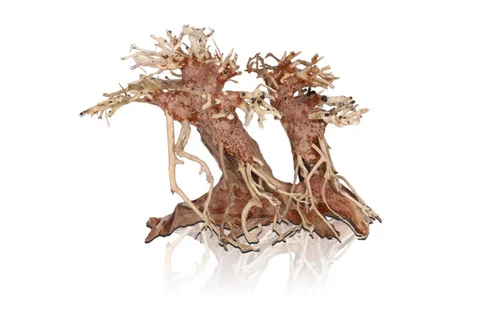 Pratique pour l’extérieur:Bonzaï double pour aquascaping coloris marron Aquavie - 23 x 12 x 18 cm