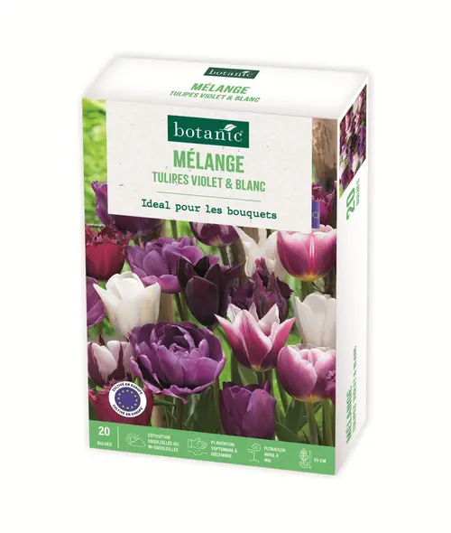 Pensé pour vos extérieurs:Bulbes de fleurs Tulipe mélange violet blanc botanic® - 20 bulbes