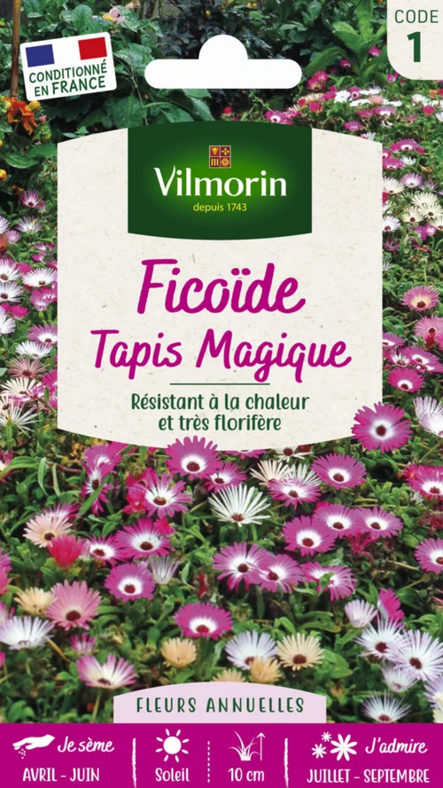 Pour votre espace vert:Ficoïde Tapis Magique Vilmorin - graines à semer