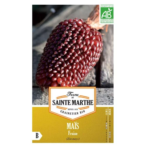 Extérieur déco：Graines de maïs fraise bio Ferme de Sainte Marthe - graines à semer