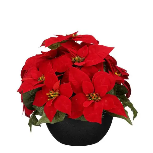 Jardin équipement：Plante artificielle Poinsettia rouge en pot - Ø 35 x H 30 cm
