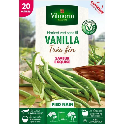 Pour simplifier vos extérieurs：Graines de haricot nain Vanilla Vilmorin - graines à semer
