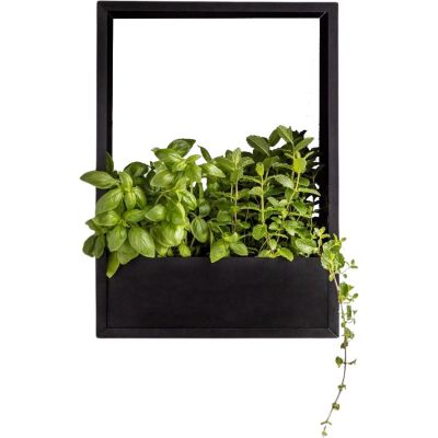Cadre mural en fer pour plantes Garden (36 x 18 x 50 cm)