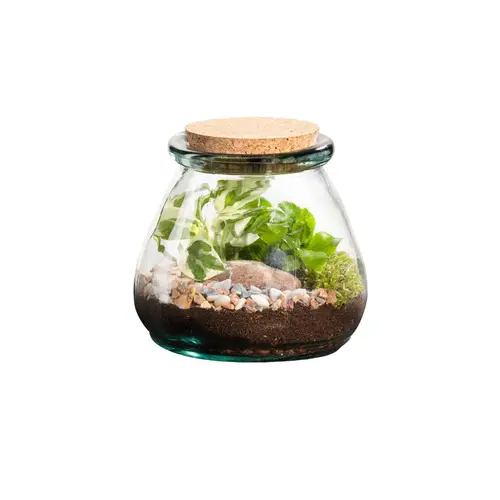 Confort extérieur:Terrarium autonome botanic® Bila Uso - Taille M Ø 15 cm H 15 cm