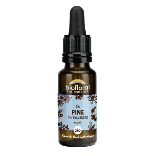 Pour enrichir votre univers jardin:Élixir n°24 Biofloral de pin sylvestre en flacon de 20 ml