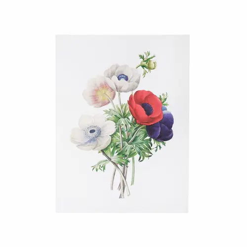 Jardin service:Affiche anémone simple - 30 x 40 cm
