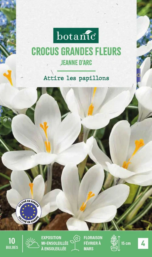 Une touche pratique à l’extérieur：Crocus Jeanne d'Arc en mélange botanic® - 10 bulbes