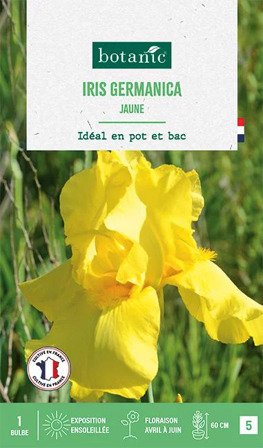 Jardin à équiper：Bulbe de fleurs Iris Germanica jaune botanic® - 1 bulbe