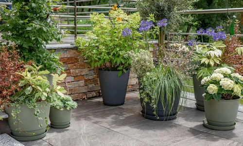 Pour un jardin bien organisé：Soucoupe gris anthracite pour pot Poetic Joy 35 - Ø 26,6 x H 3,4 cm