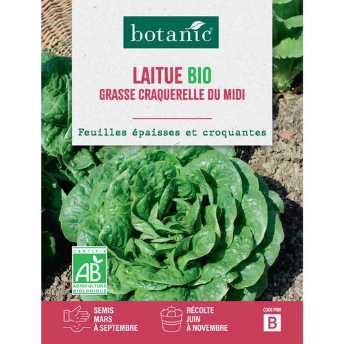Votre allié à l’extérieur：Graines de laitue grasse craquerelle du midi bio botanic® - graines à semer