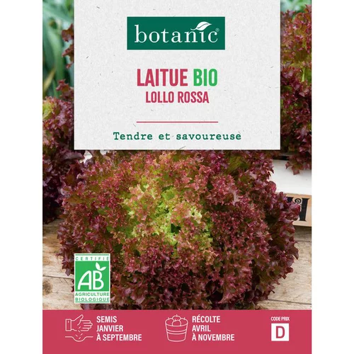Jardin simple:Graines de laitue lollo rossa bio botanic® - graines à semer