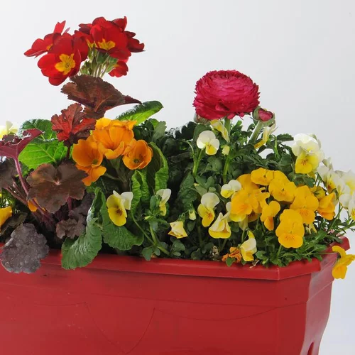 Une sélection pensée pour l’extérieur：Jardinière variée. La jardinière en zinc de 25 cm