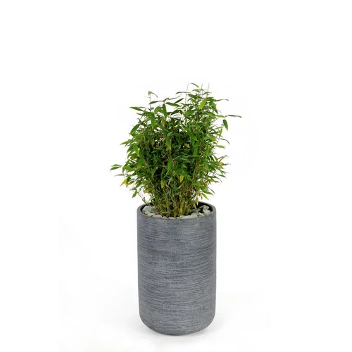 Pensé pour le jardin：Pot rond Stream haut Anthracite Ø.32 x H.50 cm
