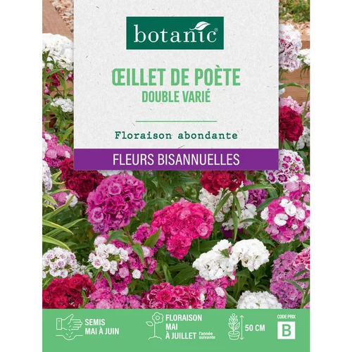 Tendance au jardin：Graines d'œillet de poète double varié botanic® - graines à semer