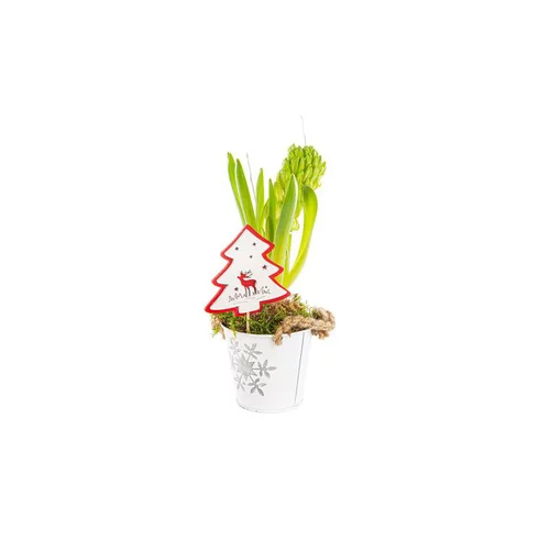 Maison & extérieur：Jacinthe X1 Seau Flocon Zinc blanc