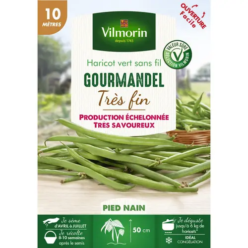 Nature au jardin:Graines de haricot gourmandel coloris vert Vilmorin jardin - graines à semer