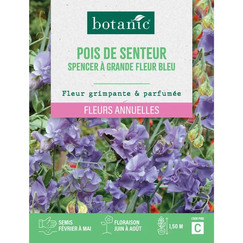 Pour équiper le jardin:Graines de fleurs de Pois de senteur spencer à grande fleur bleu botanic®