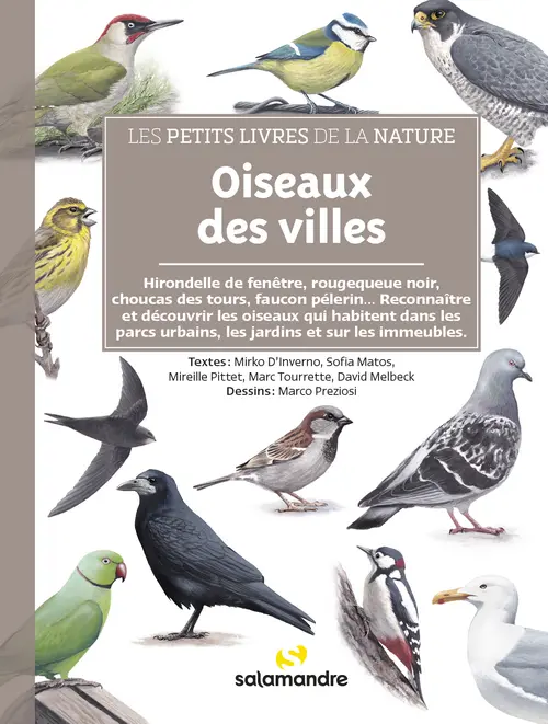 Extérieur équipement:Livre "Oiseaux des villes" collection Les petits livres de la nature aux Éditions Salamandre