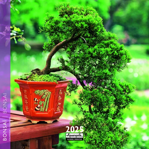 À découvrir au jardin：Calendrier 2025 Bonsai coloris multicolore Aquarupella - 16,5 x 16,5 cm
