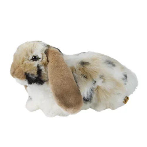 Vie extérieure：Lapin bélier beige peluche 30 cm pour tout âge