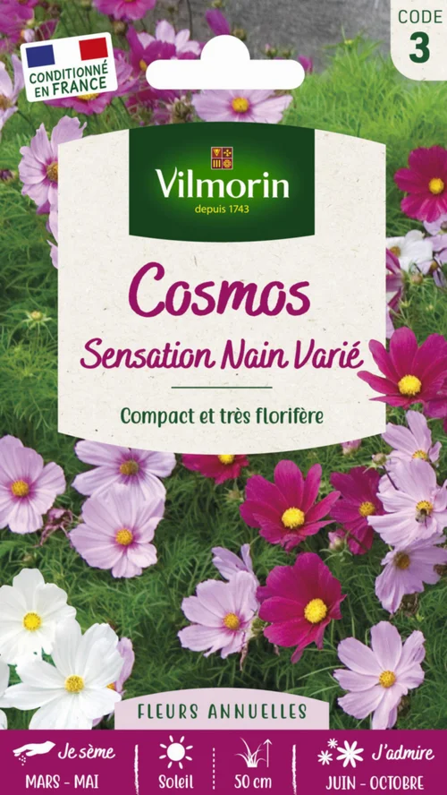 Jardin extérieur：Cosmos Sensation Nain Varié Vilmorin - graines à semer