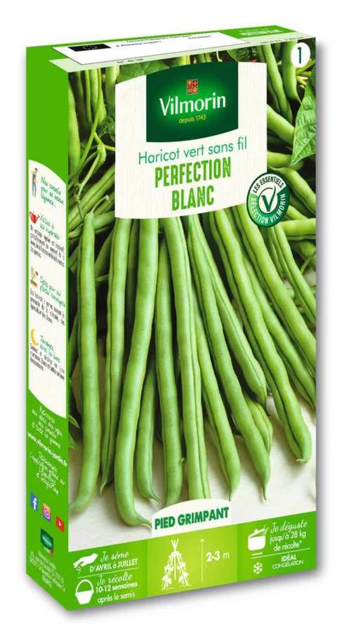 Accessoire jardin：Haricot vert grimpant Blanc de Juillet Vilmorin - graines à semer