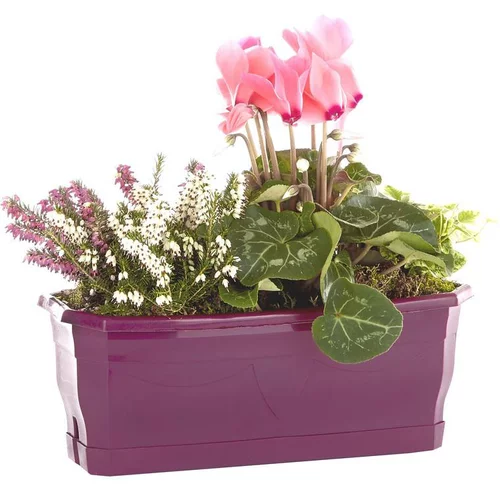 Extérieur fonctionnel:Composition d'extérieur mélange violet rose - La jardinière de 30 cm