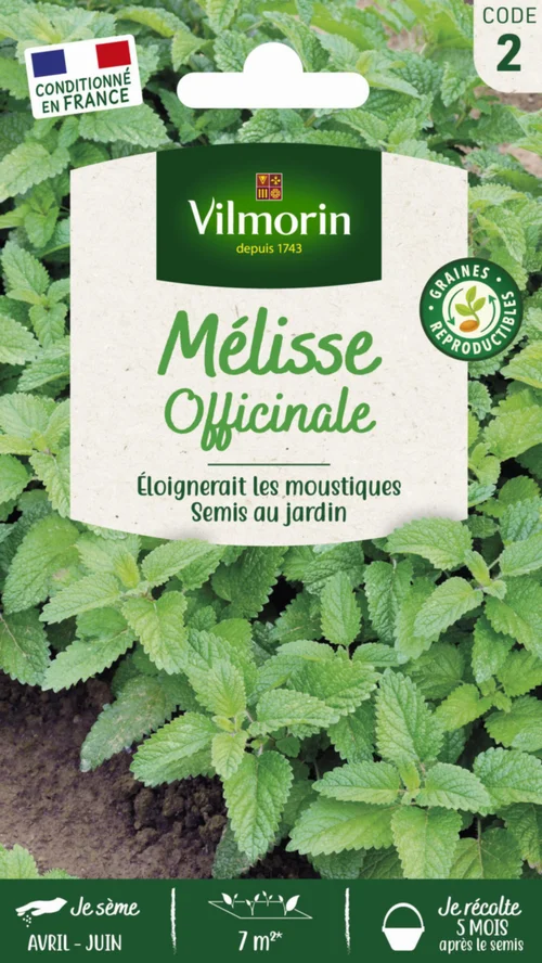 Jardin qualité：Mélisse officinale Vilmorin - graines à semer