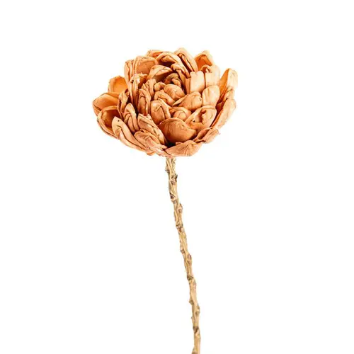 Jardin et loisirs:Fleur en bois de Sola et coco forme Dalhia - Ø 8 x H 50 cm