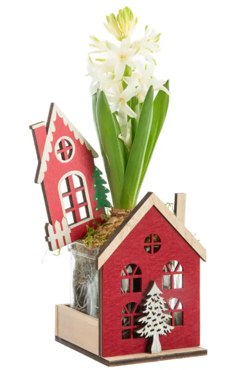Inspiration jardin：Jacinthe x 1 maison en bois décor rouge - 8,5 x 8,9 cm