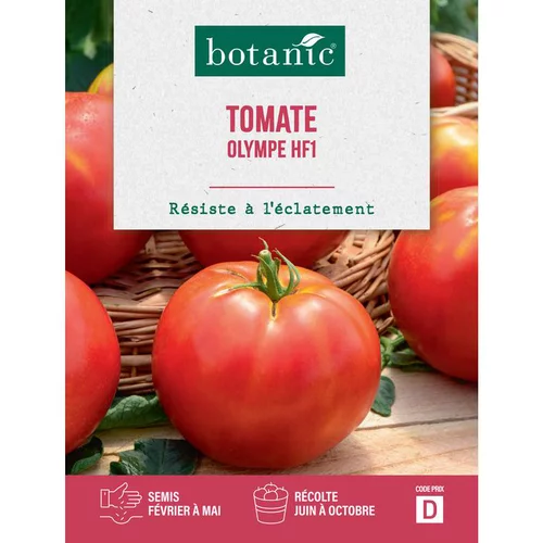 Nature extérieur：Graines de tomate olympe HF1 botanic® - graines à semer