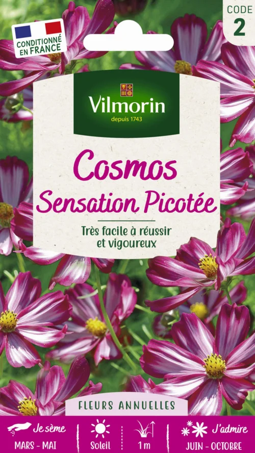 Style extérieur:Graines de Cosmos Sensation Picotée Vilmorin - graines à semer