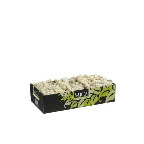 Jardin essentiel:Lichen artificiel beige 500 g