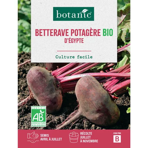 Extérieur malin：Graines de betterave d'Egypte bio botanic® - graines à semer