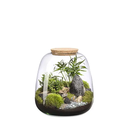 Jardin et nature:Terrarium autonome Moly Landscape botanic® - taille L