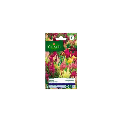 Jardin en pratique：Graines de Célosie à panache varié Vilmorin - graines à semer