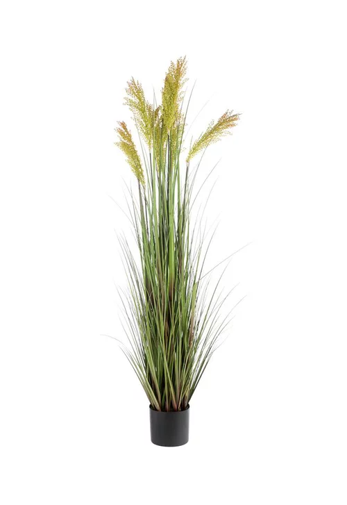 Esprit jardin:Pot de graminée épis coloris vert - 178 x 36 x 17 cm
