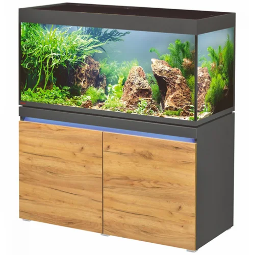 Plaisir au jardin:Aquarium en graphite naturel, LED, EHEIM AQUARIUM Incpiria 430 - 430L