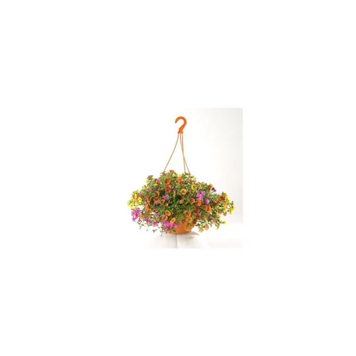Tendance au jardin:Calibrachoa - La suspension diam 27 cm