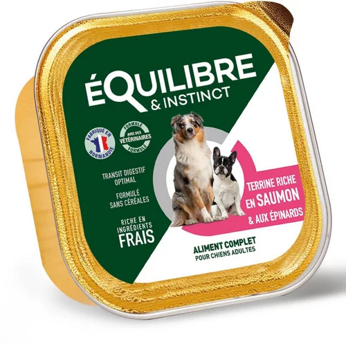 Pour transformer vos extérieurs:Terrine pour chien au saumon et aux épinards Équilibre & Instinct – 300 g