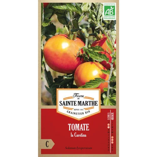 À découvrir pour le jardin：Graines de tomate la carotina bio Ferme de Sainte Marthe - graines à semer