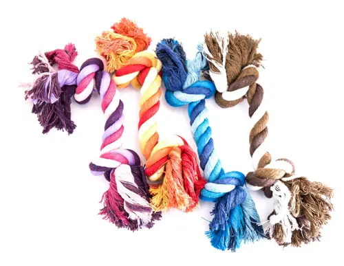 Pour vos extérieurs:Corde à 2 nœuds pour chien - 30 cm de long