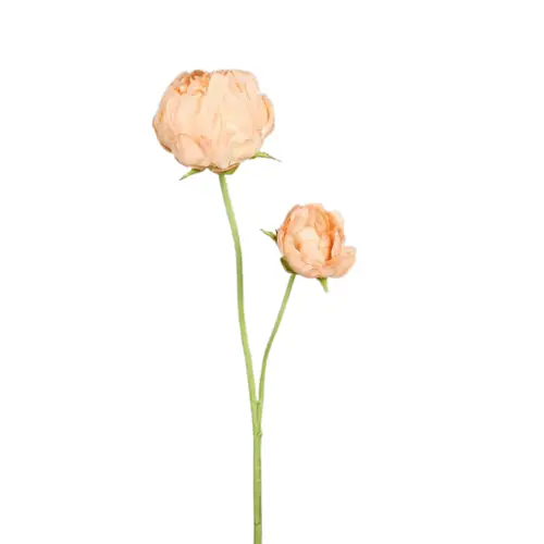 Pour un extérieur bien équipé:Pivoine artificielle pêche à 2 fleurs - 66 cm