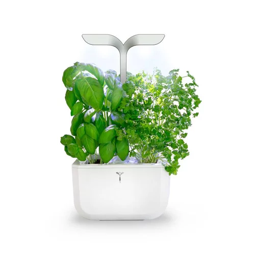 Pour la maison et l’extérieur:Potager d'intérieur autonome compact Exky® SMART Arctic White - livré avec 2 lingots