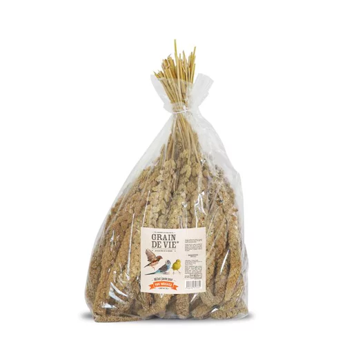 Univers extérieur：Millet jaune français pour oiseaux Grain de Vie - 1 kg