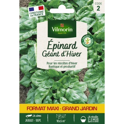 Pour tous vos besoins jardin:Sachet de graines d'épinard géant d'hiver format économique