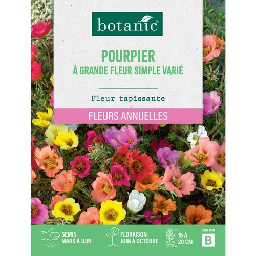 Nature maison:Graines de fleurs de Pourpier à grande fleur simple varié botanic®
