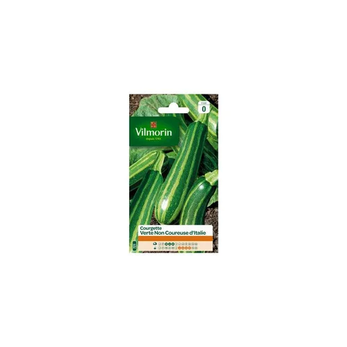 Une solution pour l’extérieur：Graines de courgette verte non coureuse d’Italie Vilmorin - graines à semer